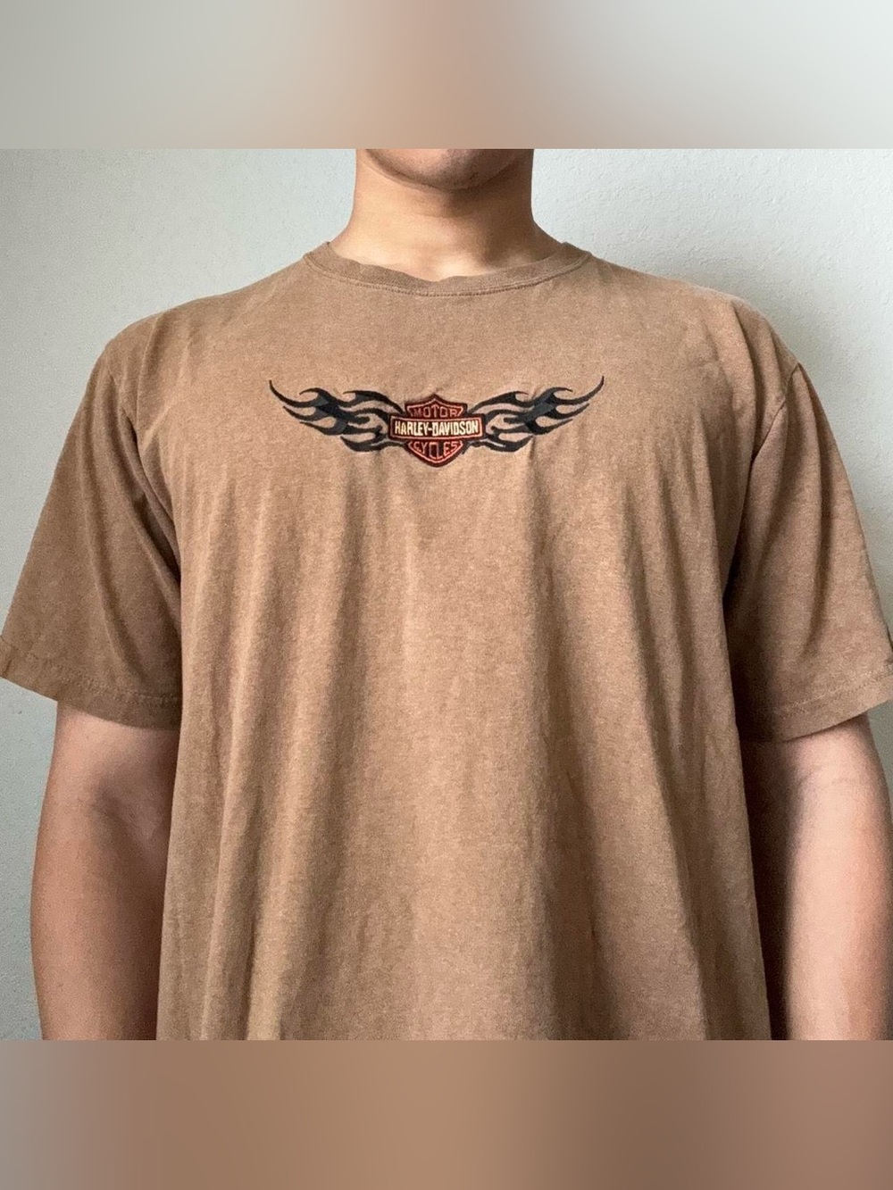 Vintage 2000s Harley Davidson Kentucky Embroidered Brown Tee Shirt
